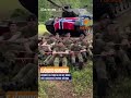 El Ejército noruego celebró la victoria con un video del tradicional festejo vikingo