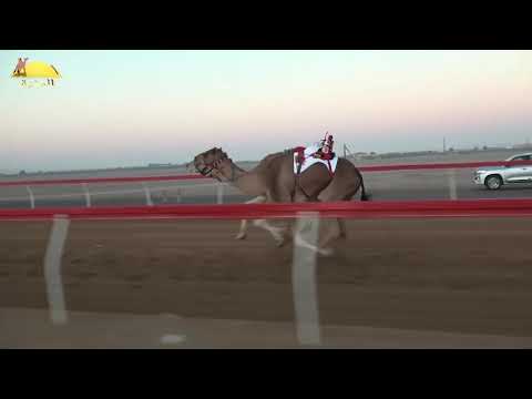 الشوط 1 مربوشه ل سالم الدهيمي حمد العامري شارة الاتحاد 2019 12 28 سيح صبرة حول زمول