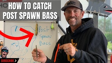 How to CATCH POST SPAWN BASS