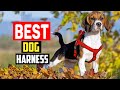 ✅ Top 5 Best Dog Harnesses of 2023