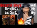 THIS IS REAL HIP HOP | Beastie Boys - Three MC's and One DJ (Official Music Video) REACTION