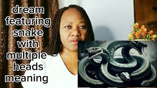 snake with many heads dream spiritual meaning