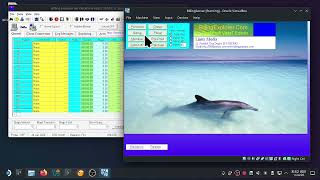 Server Billing Explorer di Linux