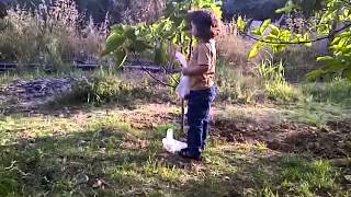 VID 20120503 00369