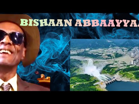 Bishaan Abbaayyaa
