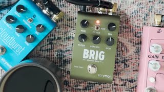 🎉 First Sounds with ​⁠@strymon  Brig: Smaller, More Powerful, and Now with MIDI! 🎹 #stereo #bbd