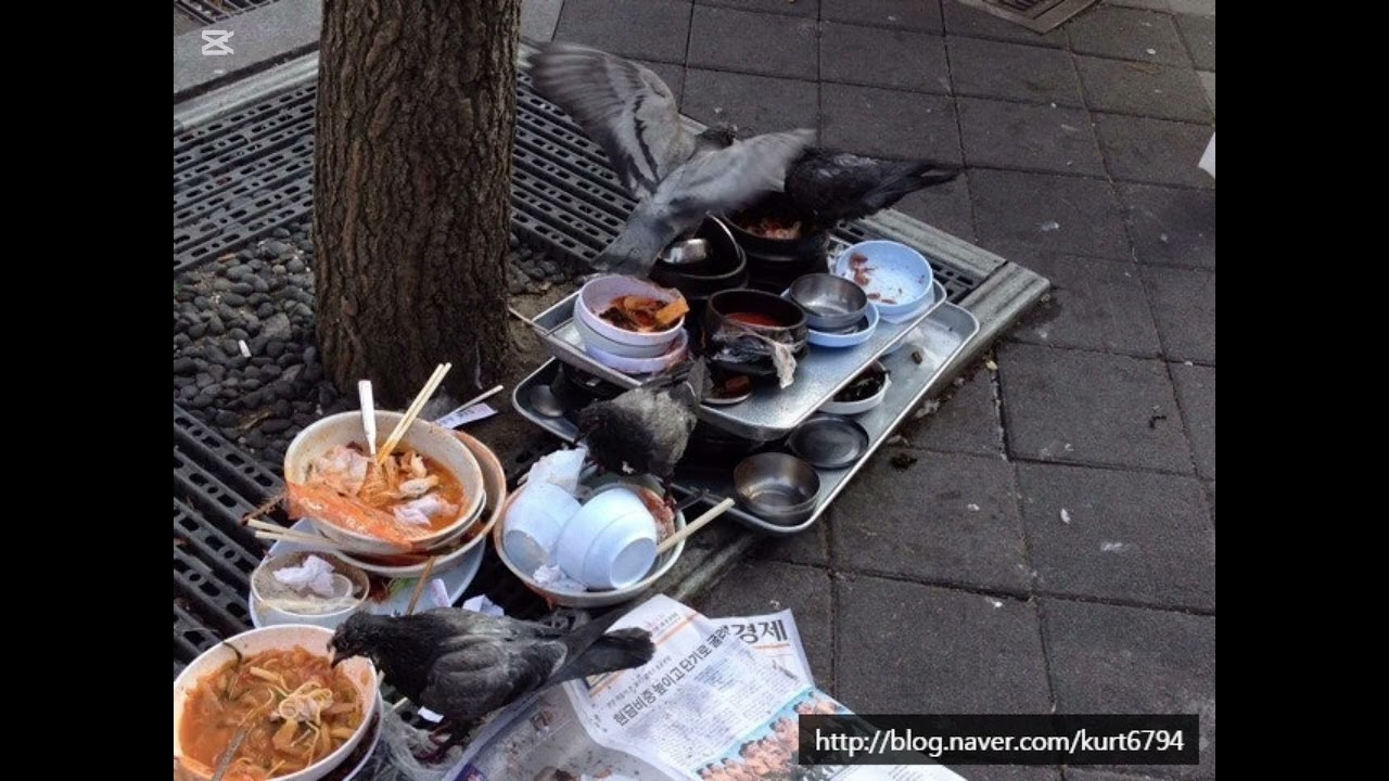 오늘도 충무로엔 별이 뜨고