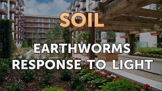 Earthworms Response to Light