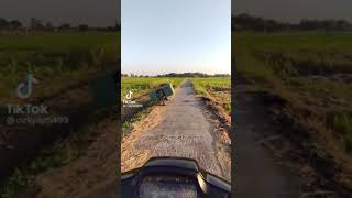 Download Lagu dj iwak wader😂 MP3