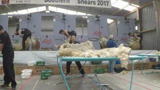Southern Shears Woolhandling