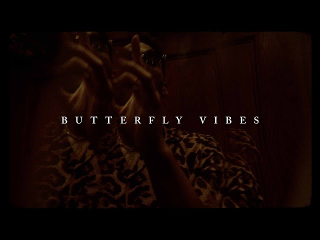 BEEZY - BUTTERFLY VIBES (OFFICIAL AUDIO) class=