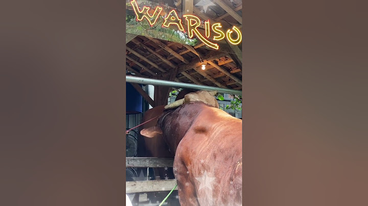 SAHABAT DARI KECIL_SAPI IRFAN HAKIM YANG BERTEMU SAHABATNYA SAAT AKAN DI KURBANKAN #shorts #sapi