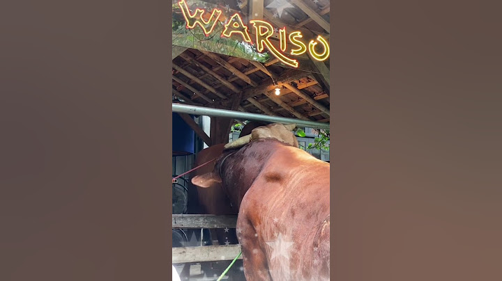 SAHABAT DARI KECIL_SAPI IRFAN HAKIM YANG BERTEMU SAHABATNYA SAAT AKAN DI KURBANKAN #shorts #sapi