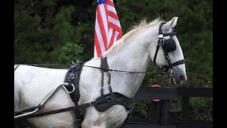 Focus Forward Fall Driving Derby, September 2020