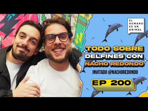 Todo sobre delfines con Nacho Redondo - El humano es un animal