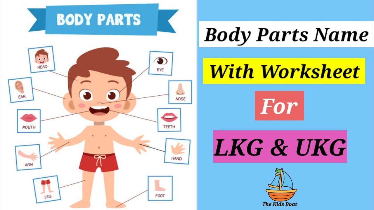 Learn Body Parts For Kids In English Body Parts Name With Worksheet 