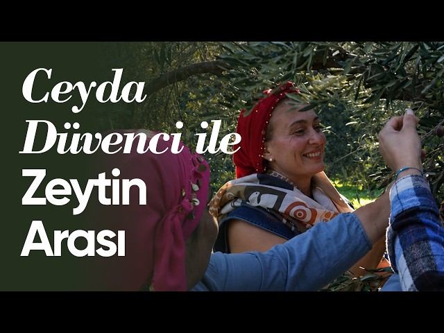 Ceyda Düvenci ile Zeytin Arası
