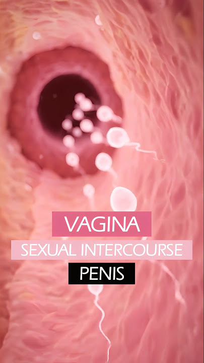 What's inside the FEMALE VAGINA ❤️ #anatomy #shorts