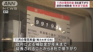11月の電気料金　8社で値下がり　政府の補助金は年末まで延長(2023年9月28日)