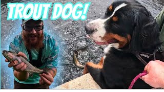 Decorah Iowa Trout Fishing: Catching Rainbows at Trout Run (plus Hatchery Tour!)