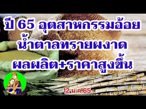 ข่าวดี!ปี2565อุตสาหกรรมอ้อยน้ำตาลทรายผงาดผลผลิต-ราคา ที่สูงขึ้นผลดีชาวไร่อ้อย!