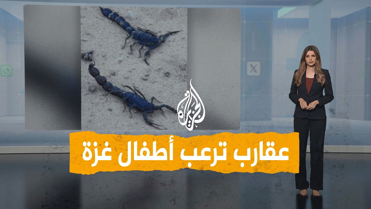 ����� | ����� ���� ����� ���
 - نشر قبل 28 دقيقة