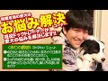 【愛犬のお悩み解決コーナー】脱臼など起きたことはありますか？注意することがあれば教えてください。2ヶ月の秋田県を譲り受けました。以前柴犬を飼っていたのですが、飼い方は違いまか？