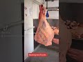 Boning Beef Butts