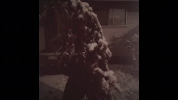 jessereno.com film and music by jessereno