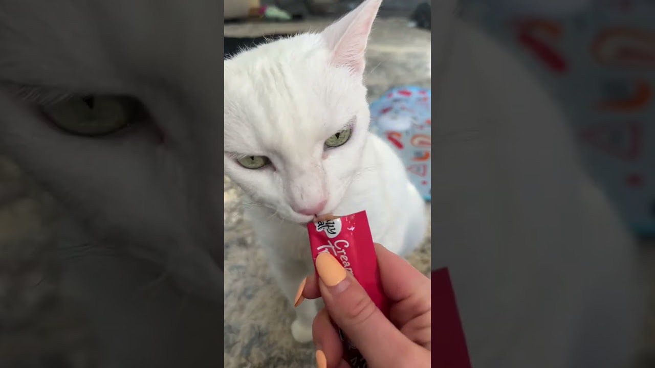 My cats go CRAZY for these treats! - All real high quality tuna - No grains - No fillers Definitely