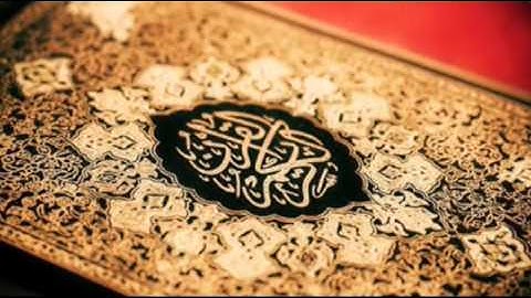 تلاوة ولا أروع من سورة نوح.. بصوت أسامة العراقي