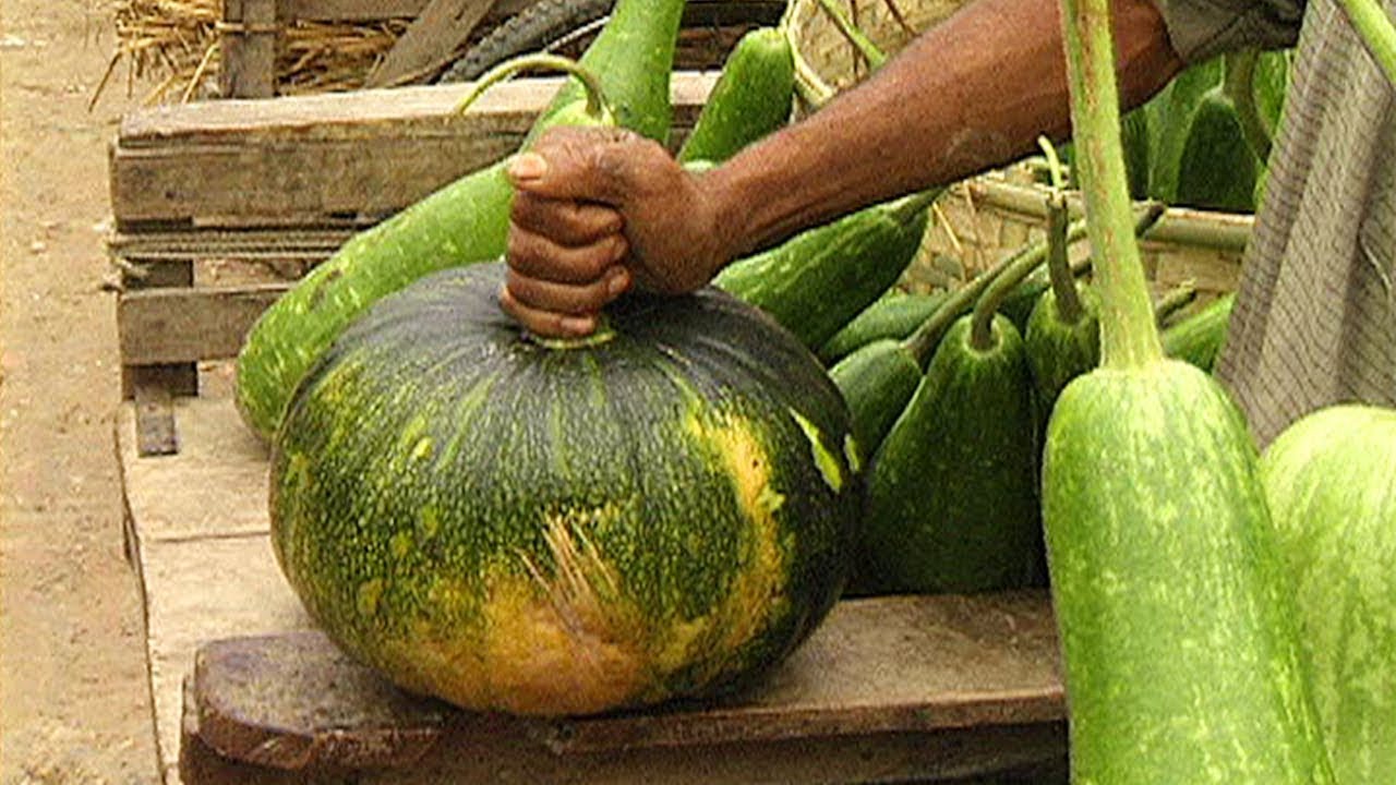 গ্রাম-গঞ্জের হাট-বাজার | TRADITIONAL VILLAGE MARKET IN BANGLADESH