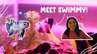 Vlog I Got A Pet Fish Betta Fish