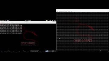 How to DDOS Netzwork with Kali Linux   Backtrack Reborn