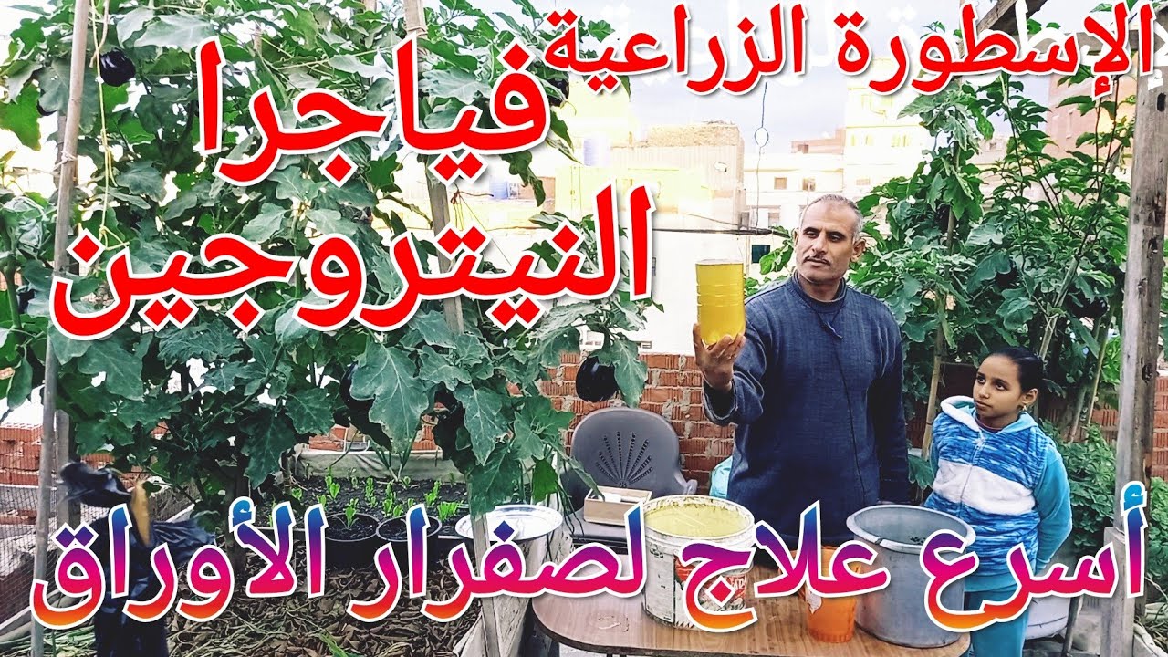 محلول الفياجرا النباتية هيغير حياة نباتك مليون درجة