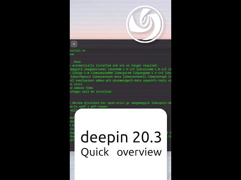deepin 20.3 Quick overview #Shorts