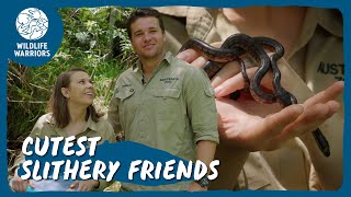 Bindi & Chandler Release Python Hatchlings | Australia Zoo Life