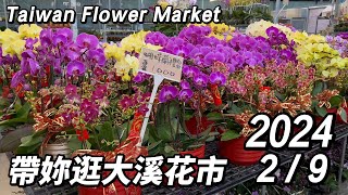 帶妳逛大溪花市~週末搶先看!丨2024\/2\/9丨Taiwan Flower Market丨