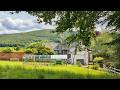 A Breezy Day on Our Scottish Homestead - Ambient Nature