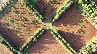 ليبيا المرج طبيعة فوق الخيال 2022