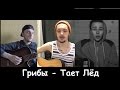 Грибы - Тает Лёд \ 3 лучших кавера под гитару