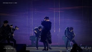 191029 Bts Sys In Seoul - Singularity 약간의 Fake Love 4K Ver. Focus Of V 태형 김태형 재보정