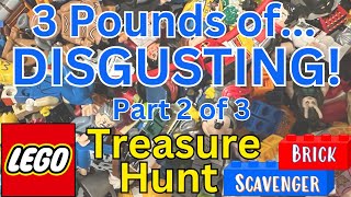 Lego Minifigure Treasure Hunt: Three Pounds of DISGUSTING! Part 2 of 3