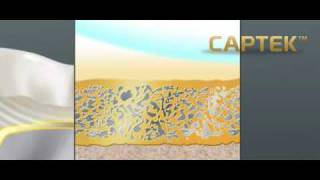 Download lagu Captek™ Shock Absorption