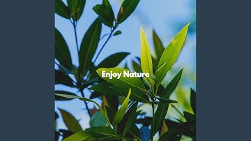 Breathtaking Moods for Thoughtful Vibes