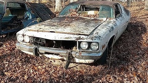 1974 #plymouth #satellite #sebring #sundance #rare  #limitededition #automobile #mahansautosalvage 