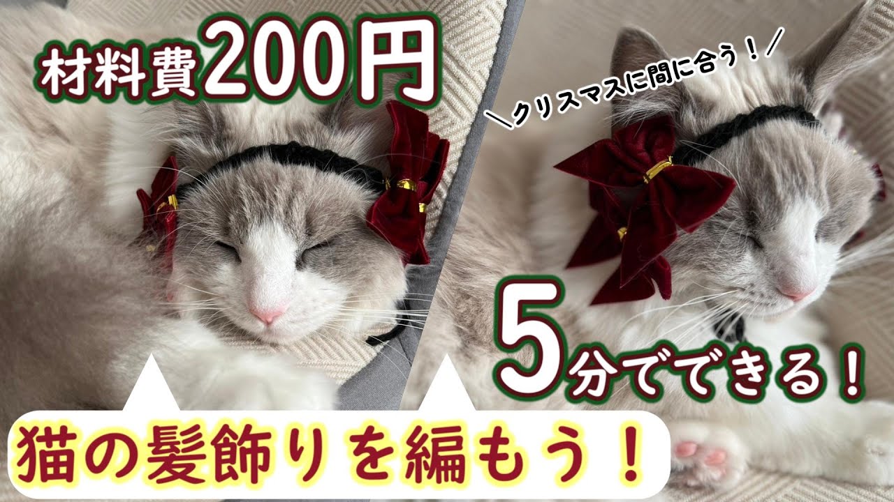 Easy in 5 minutes! Materials cost only 200 yen! Let's make a cat