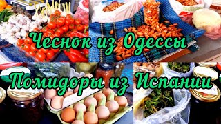 Харьковский рынок. Лук на посадку, домашние яйца, крапива на борщ.1 апреля 2023.