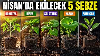 Nisanda Hangi Sebzeler Ekilir? Bu 5 Sebzeyi Ekmezsen Geç Kalırsın