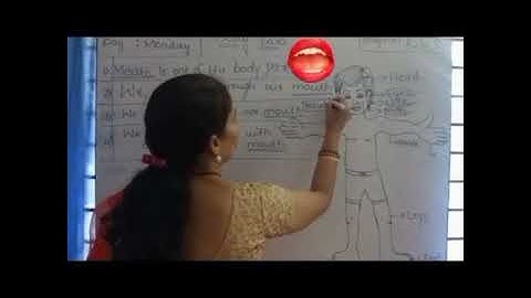 II standard EVS Bridgecourse- Part 02